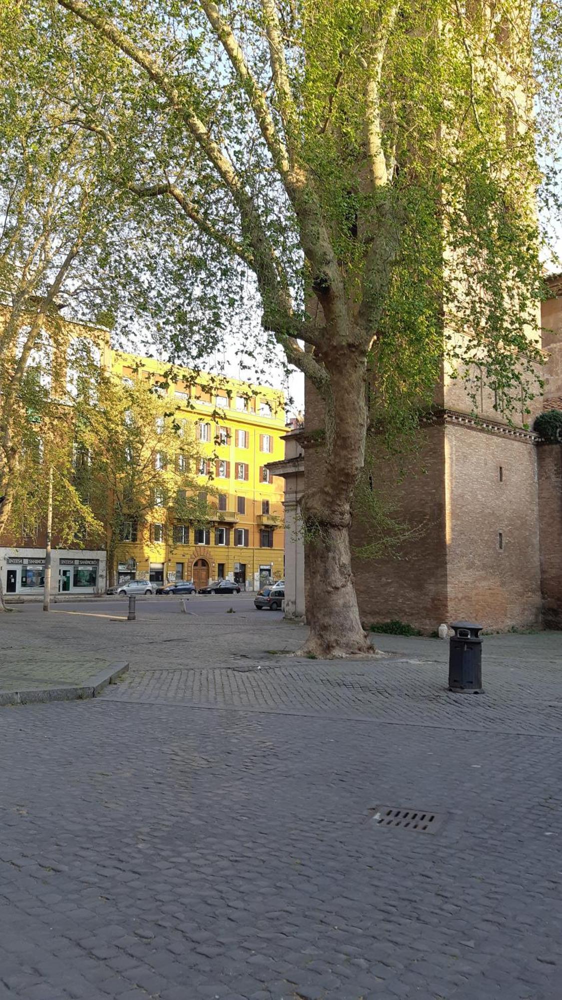 Bed & Breakfast Lungaretta Fly 55 Roma